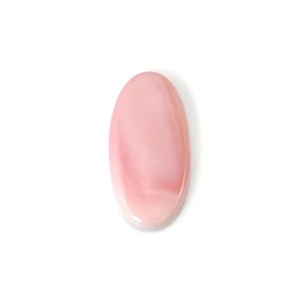 Cabujón Caracol rosado ovalado 15x30mm x 1pc