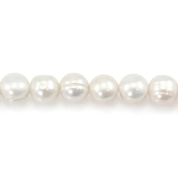 Perlas cultivadas de agua dulce, blancas, semi-redondas, 10-11mm x 38cm