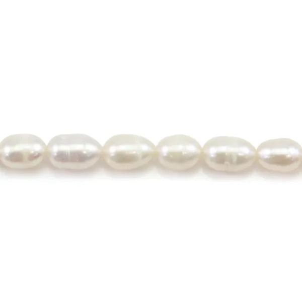Perles de culture d'eau douce, blanche, olive, 5-6mm x 34cm
