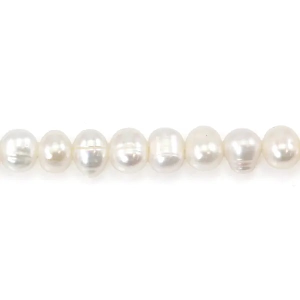 Perles de culture d'eau douce, blanche, ovale, 6-6.5mm x 36cm