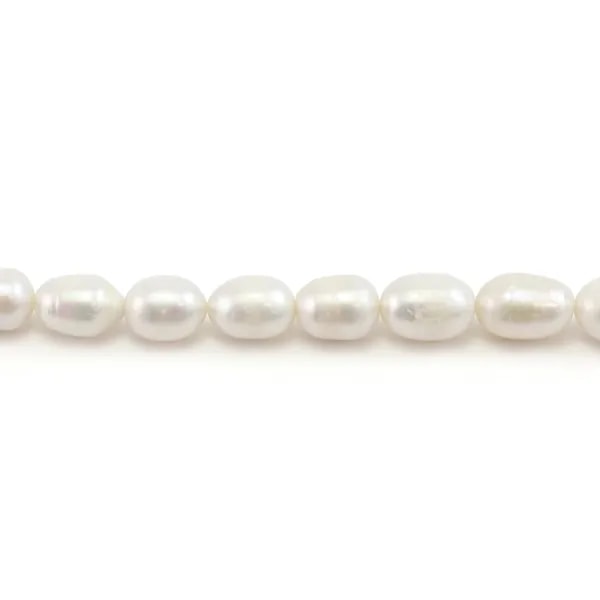Freshwater cultured pearls, white, olive, 10-11mm x 37cm
