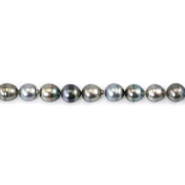 Tahiti-Zuchtperle, Tropfen, 34 Perlen - 42cm