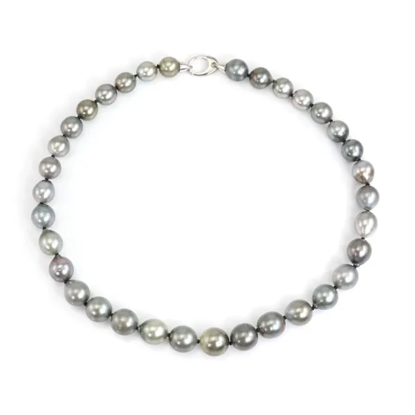 Colar de Pérolas de Cultura do Taiti gota 10-12mm - Prata 925 rodiada x 1pc