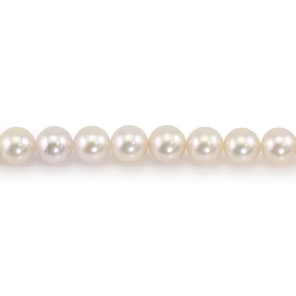 Perle coltivate AKOYA giapponesi, rotonde, 8.5-9mm x 40cm AA