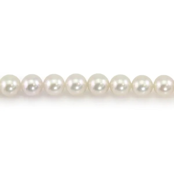 Perles de culture AKOYA japonais, ronde, 7-8mm x 40cm A+