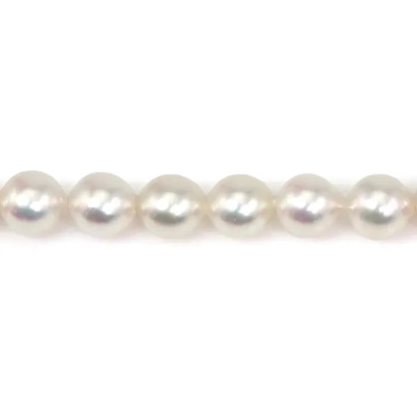 Perlas cultivadas AKOYA japonesas, semi-redondas/gota, 8-8.5mm x 40cm AA+