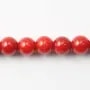 Red colored round sea bamboo