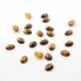 Tiger eye cabochon, on oval shaped, 5 * 7mm x 4pcs