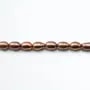 Perles de culture d'eau douce, marron, olive, 5-5.5mm x 10pcs