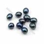 Perle de culture d'eau douce, bleu foncé, irrégulière,  9-10mm x 10pcs