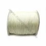 Fil polyester blanc cassé 1mm x 2m