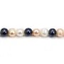 Perles d'eau Douce Rond blanc+bleu 7-8mm x 5pcs