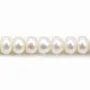 White flattened round freshwater pearls on thread 8-9mm x 40cm
