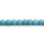 Turquoise  reconstitué  Ronde 8mm x 5 pcs
