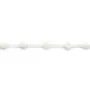 Nacre blanche en forme de fleurs sur fil 6mm x 40cm (15pcs)