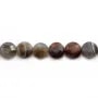 Agate du botswana rond plat facette 12mm x 40cm