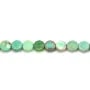 Agate d'herbe verte ronde plate facette 6mm x 40cm