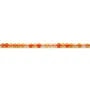 Perles rondes 2mm en cornaline x 40cm