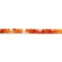 Cornaline orange en forme de rondelle facetté, de taille 2x3mm x 39cm