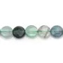 Fluorite de forme ronde plate facette 10mm x 2pcs