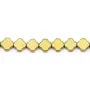 Hématite doré trèfle 8mm x 40cm
