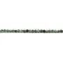 Seraphinite de couleur verte, de forme ronde facette, 2mm x 39cm