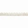 Pierre de lune ronde facette 4mm x 40cm