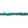 Turquoise en forme baroque x 39cm