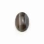 Cabochon of crystal rock, in round shape, 2mm x 4 pcs