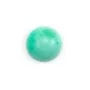 Cabochon de chrysoprase,de forme ronde,12mm x 1pc
