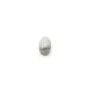 Cabochon howlite ovale 4x6mm x 4pcs