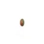 Cabochon d'unakite, de forme oval, 3x5mm x 4pcs