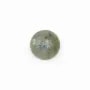 Cabochon labradorite rond 10mm x 2pcs