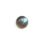 Labradorite cabochon, in round shape, 10mm x 2pcs
