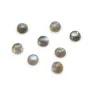 Labradorite cabochon, in round shape, 10mm x 2pcs