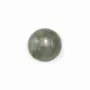 Cabochon labradorite rond 12mm x 2pcs