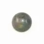 Cabochon labradorite rond 14mm x 2pcs