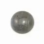 Cabochon labradorite rond 16mm x 2pcs