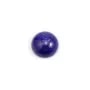 Cabochon lapis-lazuli rond 12mm x 1pc