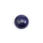 Cabochon lapis-lazuli rond 14mm x 1pc