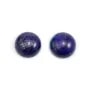 Cabochon of lapis lazuli round 10mm x 1pc