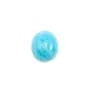 Cabochon de larimar, de forme ovale, 10x12mm x 1pc