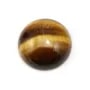 Cabochon d'oeil de tigre, de forme ronde, 16mm x 2pcs