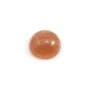 Mondstein-Cabochon, runde Form, 12mm x 1Stk