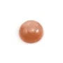 Cabochon de pierre de soleil, de forme ronde, 14mm x 1pc
