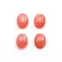 Cabochon de rhodochrosite de forme ovale 10x13mm x 1pc