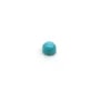 Cabochon turquoise de forme ronde 3mm x 2pcs