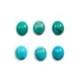 Cabochon de turquoise de forme ovale, 10x12mm x 1pc