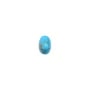 Cabochon turquoise reconstituée ovale 4x6mm x 5pcs