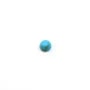 Cabochon turquoise reconstituée rond 10mm x 5pcs